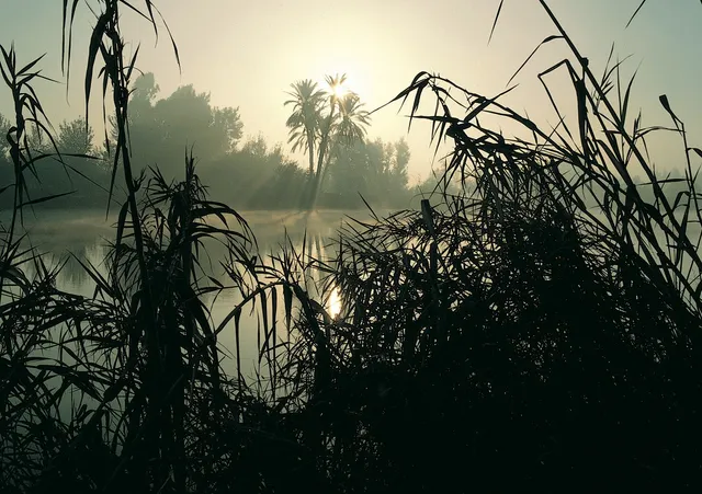 Fluviul Nil şi Egiptul-Isus Te Iubeste