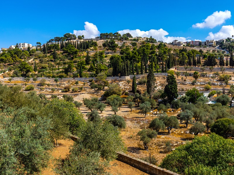 Muntele Măslinilor, Parcul Orson Hyde-Isus Te Iubeste
