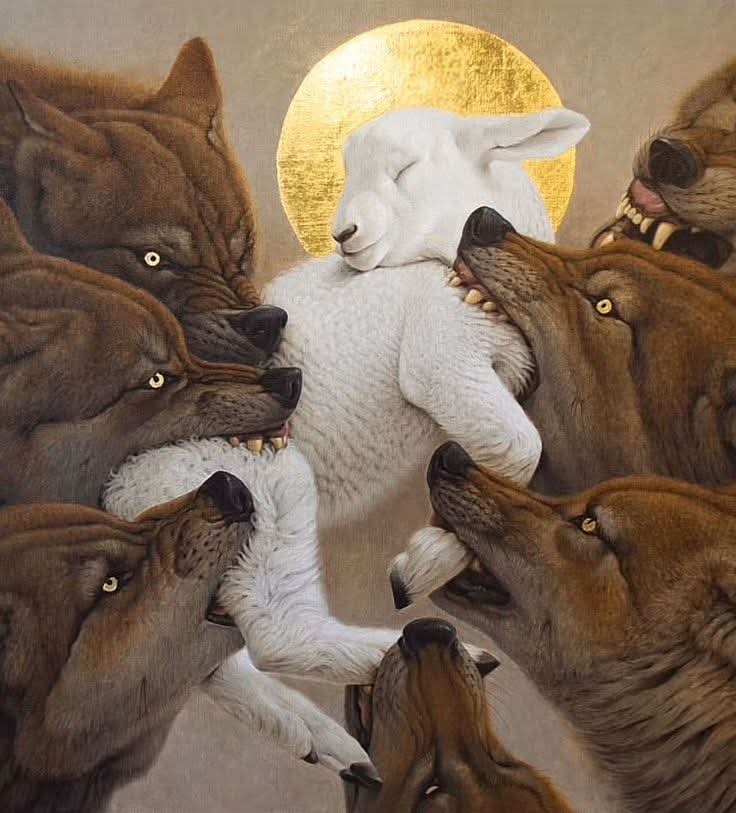 Lupi în haine de oaie-când turma devine haită